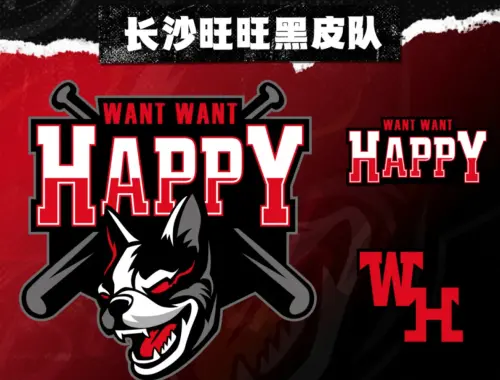 ▲中國棒球城市聯賽（CPB）「長沙旺旺黑皮隊」，主色系為黑、紅色，吉祥物為蔡衍明幼時寵物「黑皮」。（圖／截圖自CPB官網）