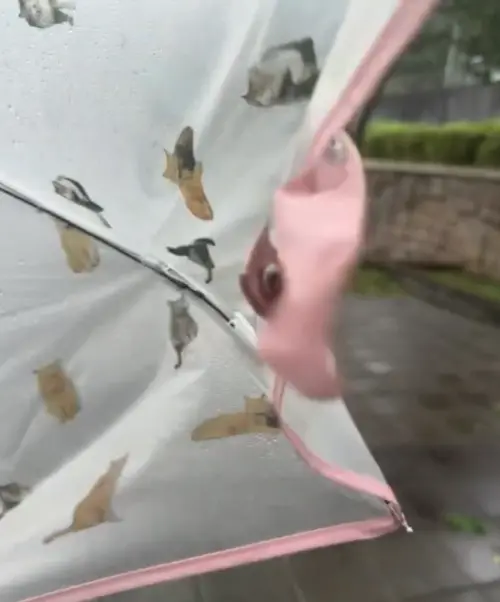 ▲（圖／翻攝自Threads@zxe_317）