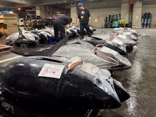 ▲初魚「豊漁集團」透過自營貿易通路引進高檔食材。（圖／豊漁集團提供 www.chu-yu.com.tw）