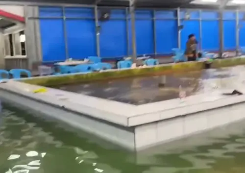 ▲宜蘭昨晚下起致災豪雨，網路上傳出宜蘭釣蝦場也被水淹，但客人沒有離開，反而淡定繼續聊天，被網友認證是「沈浸式釣蝦」。（圖/Threads@dadadenny授權提供）