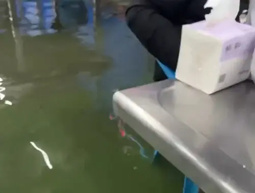 ▲儘管水已經淹過腳踝，但宜蘭釣蝦場客人依舊沒離開，甚至繼續淡定聊天。（圖/Threads@dadadenny授權提供）