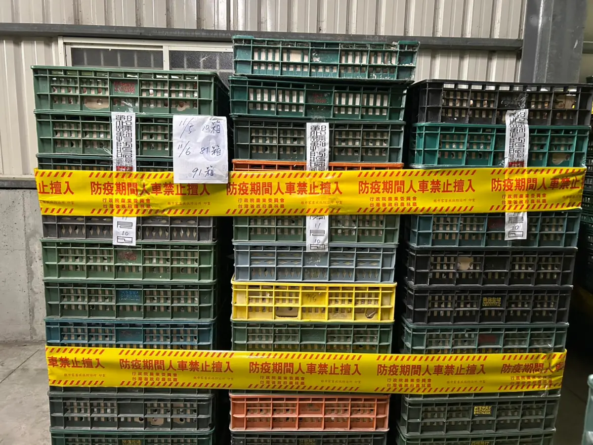 還沒零檢出！彰化畜牧場雞蛋仍有芬普尼殘留 疑「對雞噴殺蟲劑」