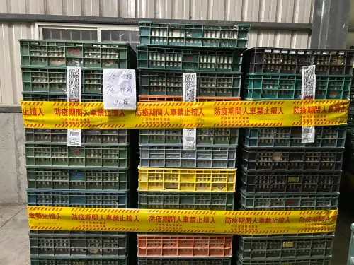 還沒零檢出！彰化畜牧場雞蛋仍有芬普尼殘留　疑「對雞噴殺蟲劑」
