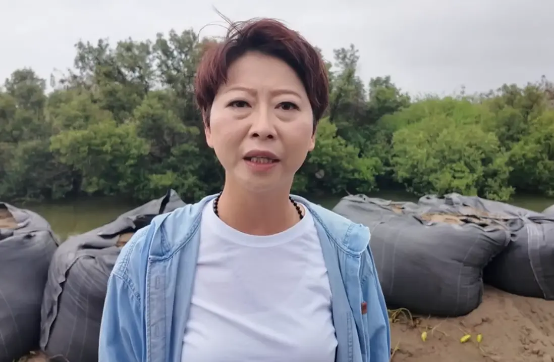 盼重現台南光榮！陳亭妃登記參選：用行動證明我是最強母雞