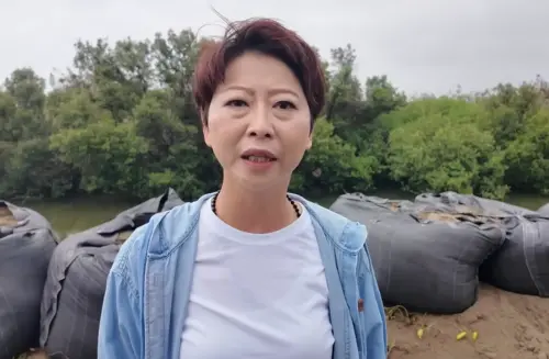 影／盼重現台南光榮！陳亭妃登記參選：用行動證明我是最強母雞
