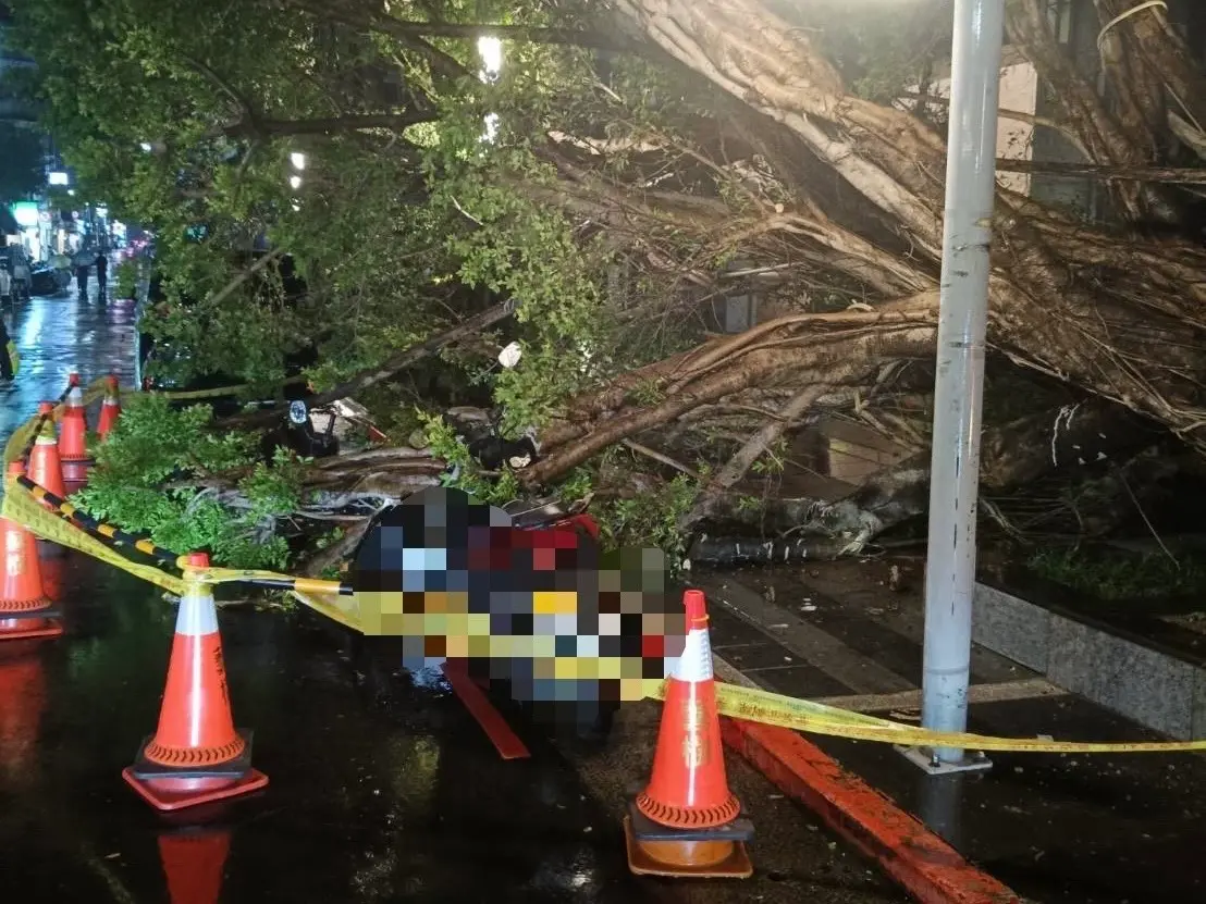 ▲台北市大安區昨（11日）晚間於忠孝東路四段傳出路樹倒塌，壓倒停放路邊的機車。（圖／翻攝畫面）