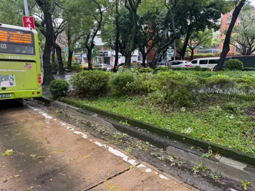 ▲北市大安路樹倒塌。（圖／翻攝畫面）