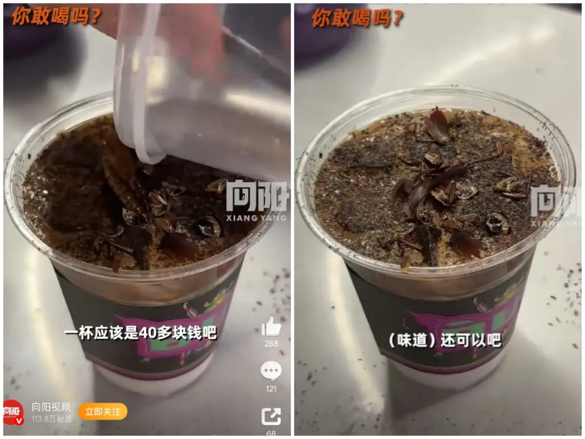 ▲中國北京萬物博物館以爬蟲類為主題，號稱可將食用昆蟲與咖啡結合，推出大麥蟲咖啡、螞蟻咖啡、豬籠草特調等等，其中甚至還有蟑螂咖啡，引發熱議。（圖／翻攝自微博）