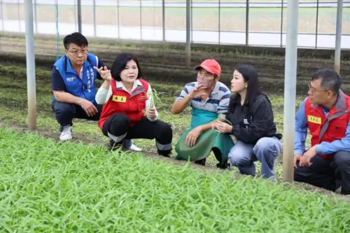 ▲颱風天血本無歸？張麗善籲農友忍耐，農會霸氣承諾：損耗我們扛。(圖／雲林縣政府)