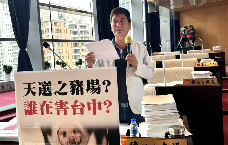 非洲豬瘟出現陰謀論？藍議員疑遭政治惡整　盧秀燕：不知病毒哪來