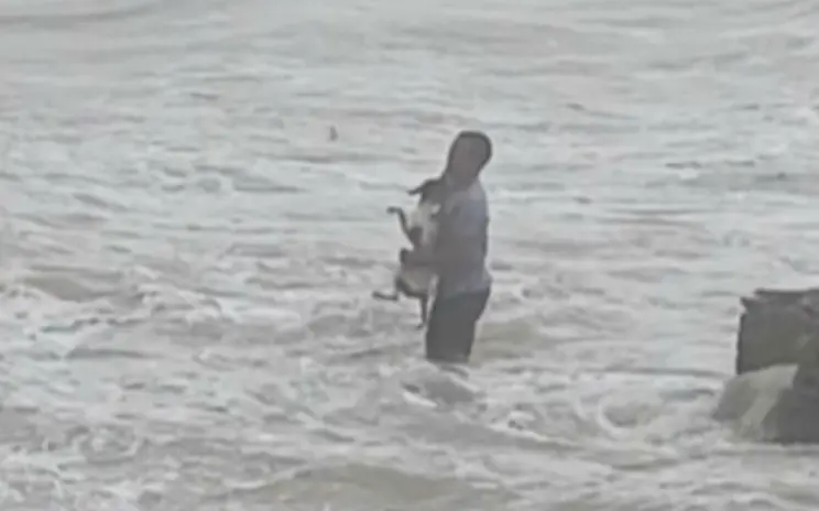為救流浪狗不顧性命！颱風天跳海救犬