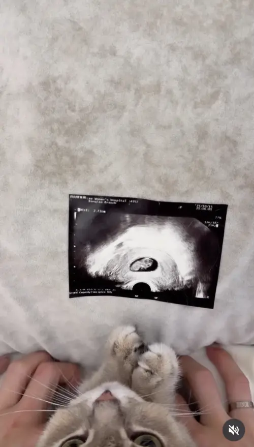 ▲黃沐妍（圖／翻攝自黃沐妍IG@tystarpiggggg）