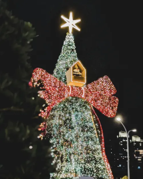 ▲2025新北耶誕城、板橋耶誕城。（圖／Threads@jamster_eatnfun授權提供）