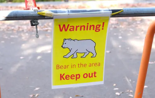 大膽用槍！日本「2縣」警察率先啟用步槍獵熊　使用範圍曝光
