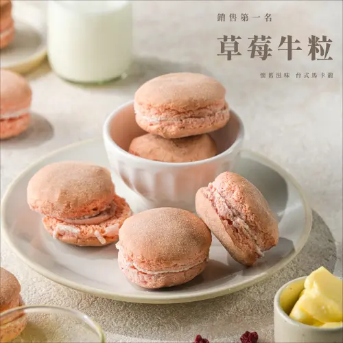 ▲小鱷先生。（圖／取自小鱷先生粉專）