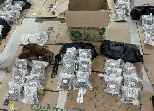 ▲北聯幫成員組槍毒走私集團，將總值約3億元的毒品及制式槍械藏入名牌包，以海運走私來台。（圖／翻攝畫面）