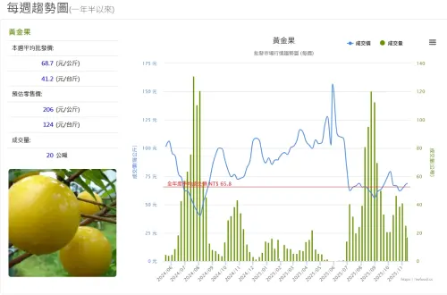 ▲黃金果本周平均批發價為每台斤41.2元。（圖／當季好蔬果網站 twfood.cc/fruit/）