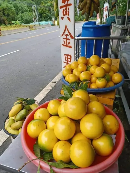 ▲黃金果吃起來像果凍，帶有釋迦的清甜風味。（圖／翻攝臉書）