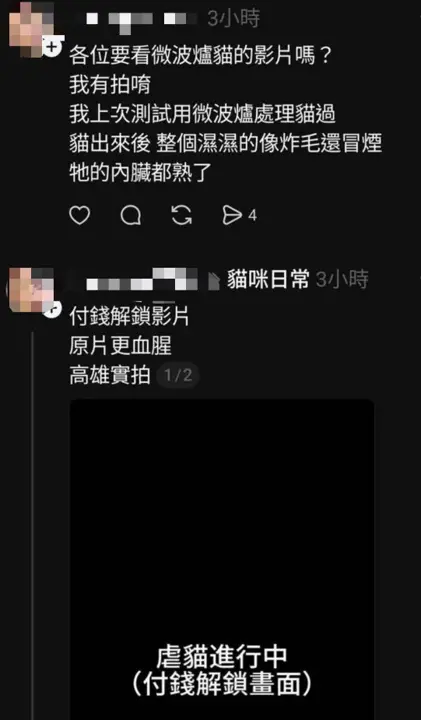 ▲Threads上驚傳虐貓影片（圖／翻攝自犬貓認養人黑名單臉書）