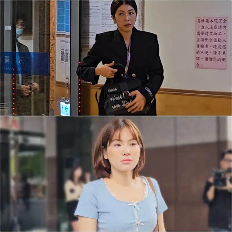 李怡貞拎32萬「比利時愛馬仕」出庭　陳沂酸：時尚的完成在臉蛋