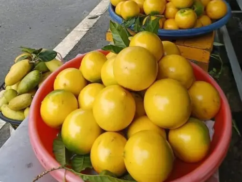 黃金果「4顆988元」坑觀光客？業者：他們有試吃、總統也賣這個價
