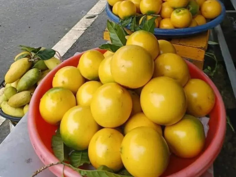 ▲資深媒體人彭華幹朋友帶美國僑胞到龜吼漁港，買了4顆黃金果，結果一秤竟要988元。圖非當事店家。（示意圖／翻攝臉書）