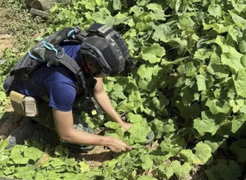 誰在暗中埋雷？邊境疑點重重　東協觀察團赴前線查證是否「新埋」
