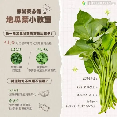 ▲目前台灣市場上常能看到的地瓜葉，主要都是「葉菜用甘藷」，品種為臺農71號、桃園2號。（圖／農糧署afa.gov.tw）