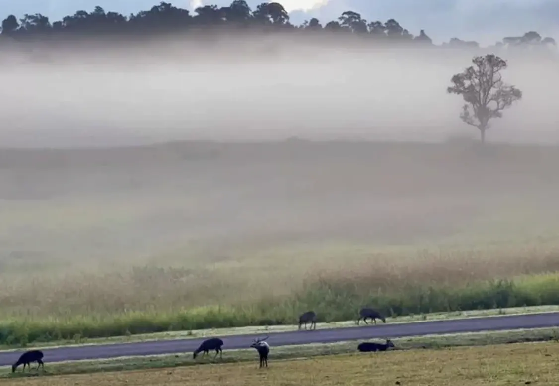 泰國迎入冬最強冷氣團！北部跌至6℃ 南部還要防豪雨大浪