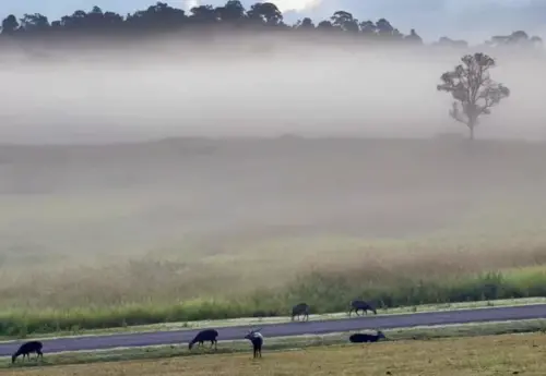 泰國迎入冬最強冷氣團！北部跌至6℃　南部還要防豪雨大浪
