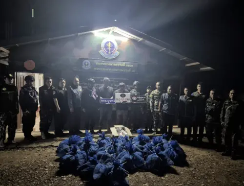 81隻獼猴被盜獵集團活捉準備賣到柬埔寨　泰國破獲走私全數救回
