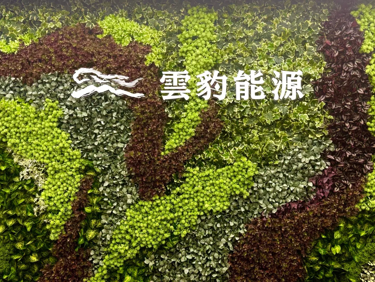 雲豹能源綠電、儲能雙引擎帶動獲利 海外發展分散區域風險