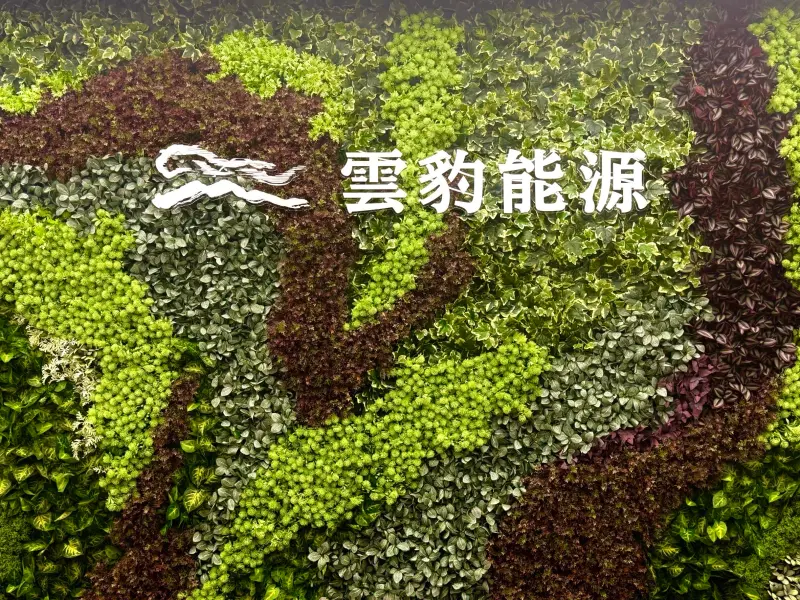 雲豹能源綠電、儲能雙引擎帶動獲利　海外發展分散區域風險