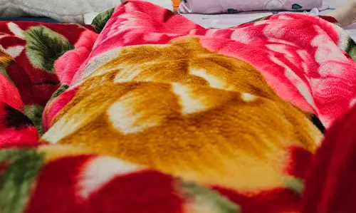 ▲民眾分享一款名叫「阿嬤毛毯」的神器，大讚十分保暖，更是寒流來襲時的禦寒必備用品。（圖／翻攝Threads）