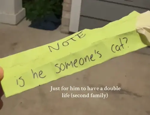 ▲（圖／IG@claux.quin）