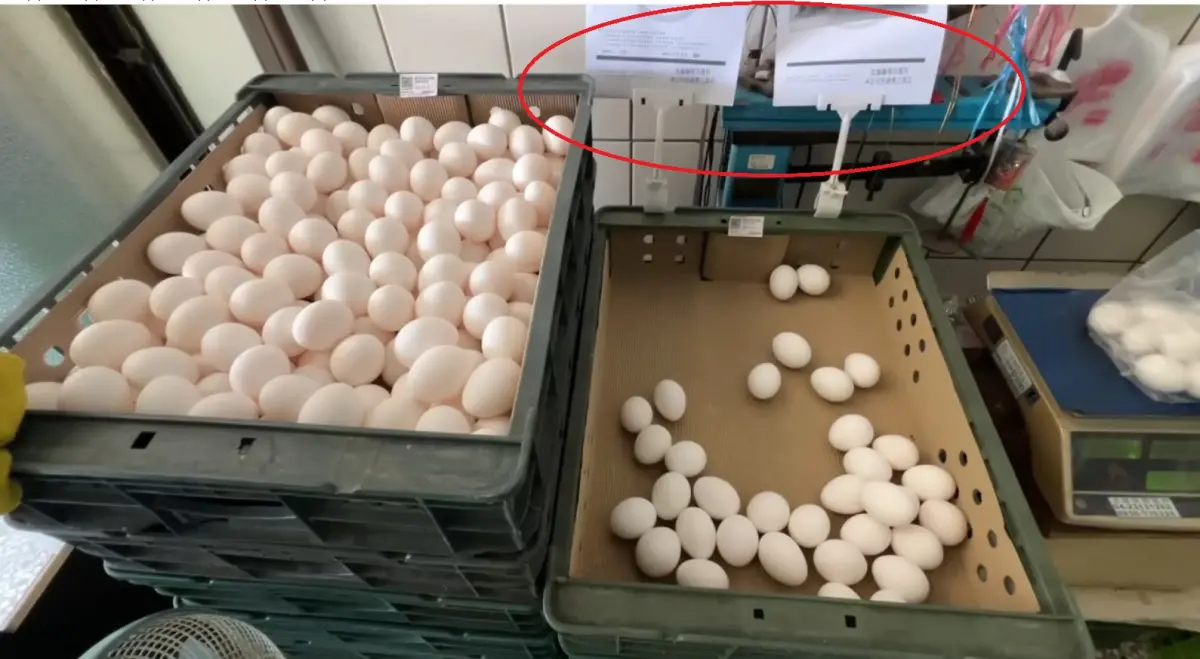 ▲龍忠蛋行在新進的蛋品前附上檢驗合格證明（紅圈處）。（圖／讀者提供，2025.11.17）