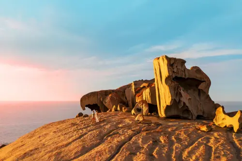 ▲國泰航空香港往返阿德雷德航線，重新啟航。（圖／國泰航空cathaypacific.com）