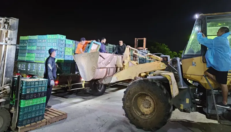▲彰化縣政府昨天連夜將文雅畜牧場25萬顆封存雞蛋運往他處銷毀。(圖/彰化縣政府提供,2025.11.18)