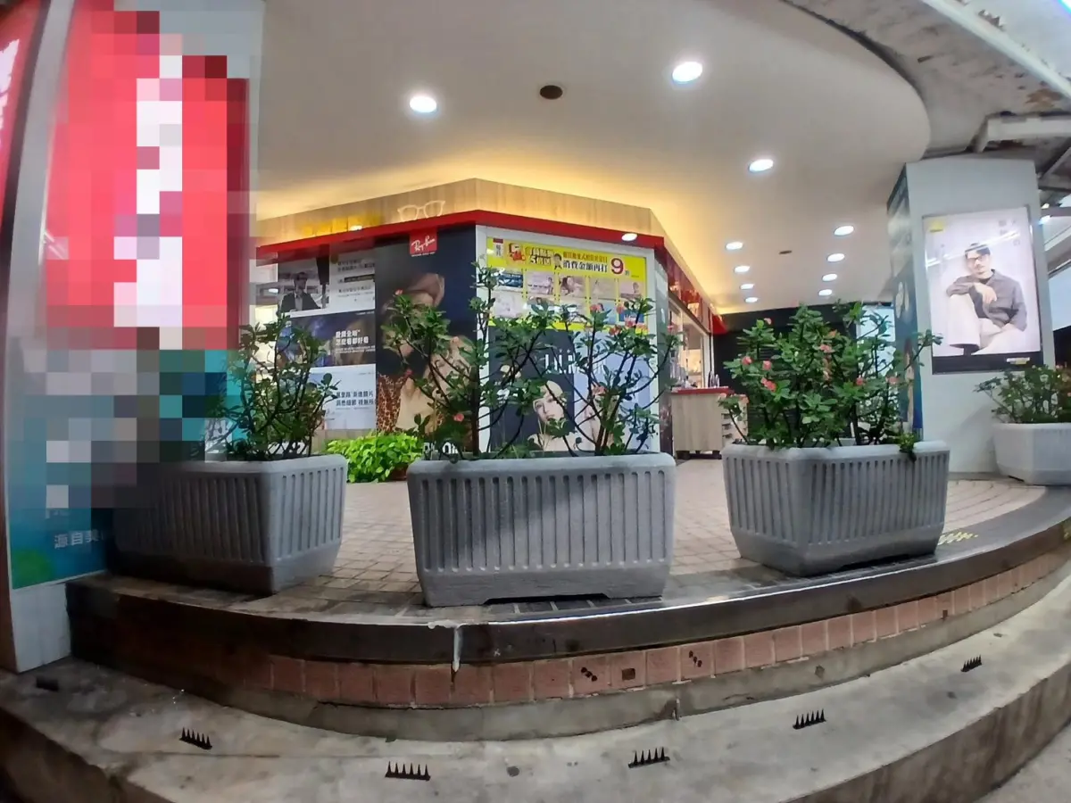 ▲新北市樹林區後火車站一間眼鏡行外的階梯，被放置「塑膠尖刺板」。（圖／翻攝自臉書社團爆料公社二社）