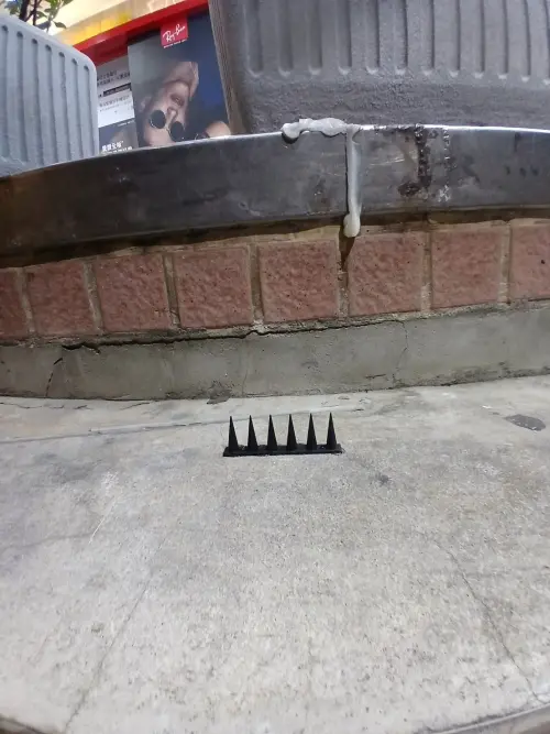 ▲新北市樹林區後火車站眼鏡行驚見一整排尖刺。（圖／翻攝自臉書社團爆料公社二社）