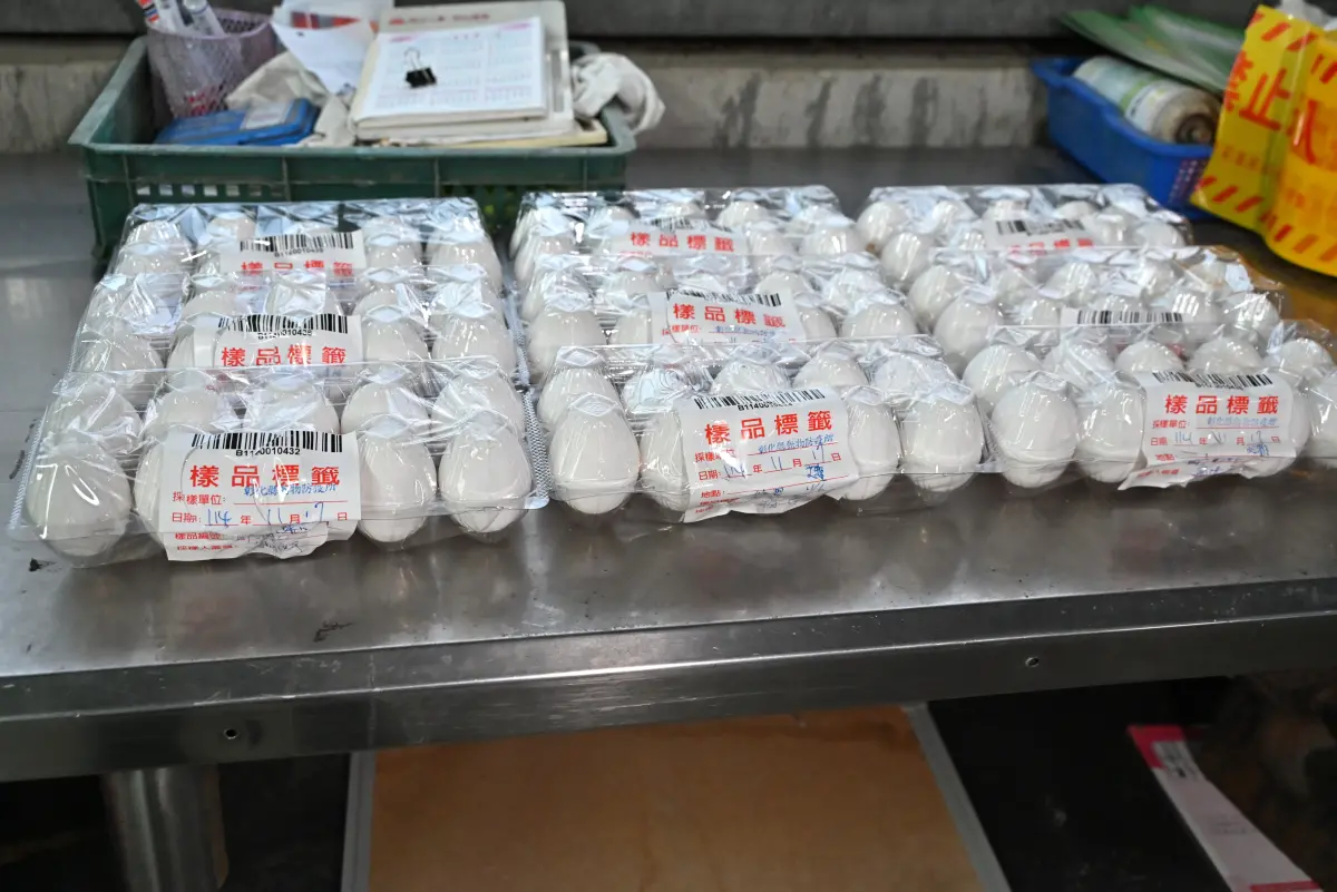 1萬顆毒蛋流向再曝光！50籃流入新莊區這2家 衛生局急追
