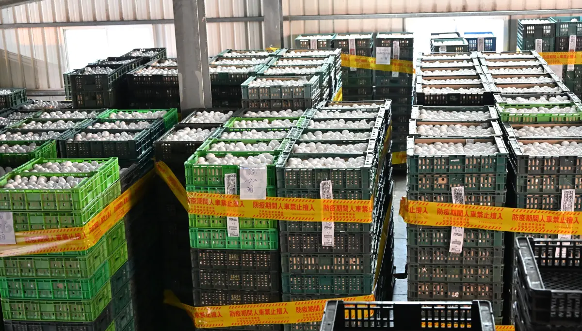 毒蛋風波曝與畜牧場2度互動 龍忠蛋行：現場毫無移動管制跡象