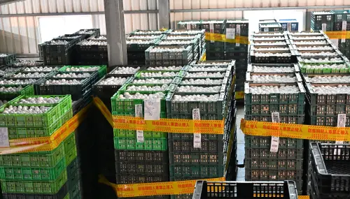毒蛋風波曝與畜牧場2度互動　龍忠蛋行：現場毫無移動管制跡象
