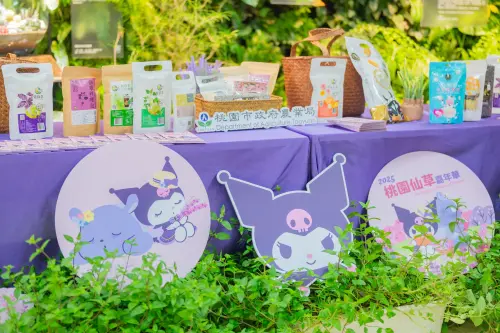 ▲「2025桃園仙草嘉年華」將於11月22日登場，除了有整片紫色仙草花海綻放外，還有超人氣IP酷洛米Kuromi的人氣打卡裝置。（圖／桃園市農業局提供）