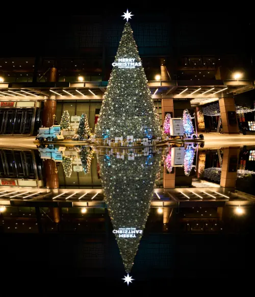 ▲全台最美耶誕地標 ， 台中新光三越12米浪漫雪花耶誕樹，入夜後呼應倒影，璀璨耀目又浪漫。（圖／業者提供） 