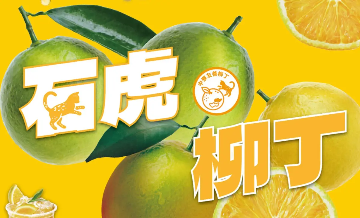 大苑子「石虎柳丁」遭爆1顆都沒買！農場：別被騙了 業者急聲明