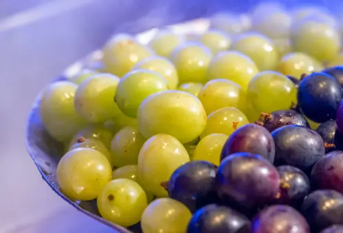 吃鍋了！極千葉「加碼麝香葡萄」還抽iPhone　老先覺送76萬元汽車
