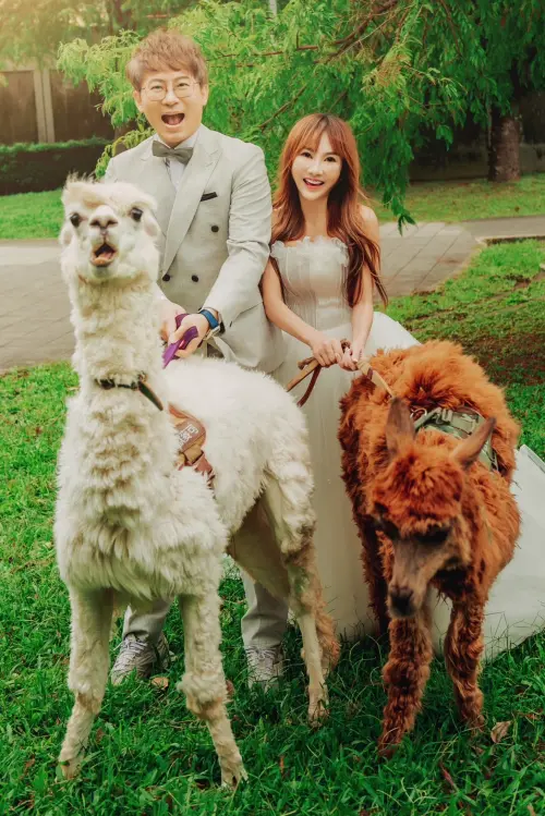 ▲王宥忻（右）再婚對象竟是前夫（左），成為史上最省事新娘，兩次都嫁同一個人。（圖／台北法國巴黎婚紗提供）