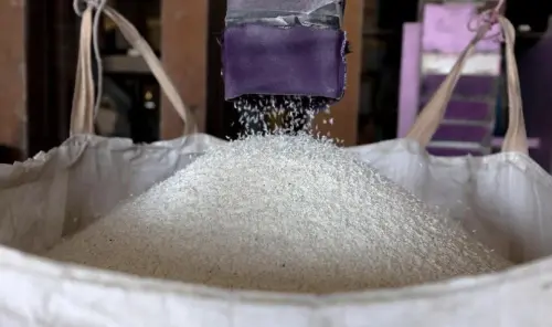 泰國米業掀改革風暴！總理祭新貸款計畫　回收300萬噸稻穩市場
