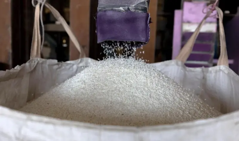 泰國米業掀改革風暴！總理祭新貸款計畫　回收300萬噸稻穩市場